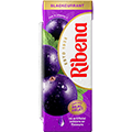 Ribena Blackcurrant 250ml